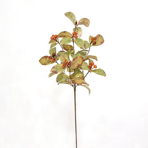 Wild Pod Turning Leaf Spray, 28"