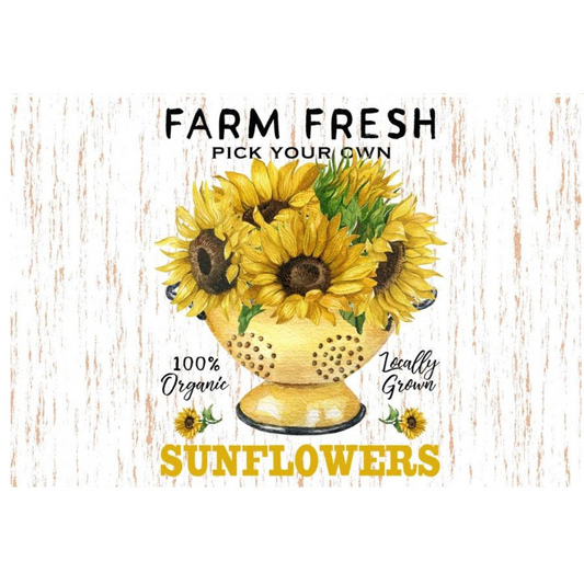 Fresh Sunflowers Printed 9 x 13 inch Silicone Trivet Hot Pad